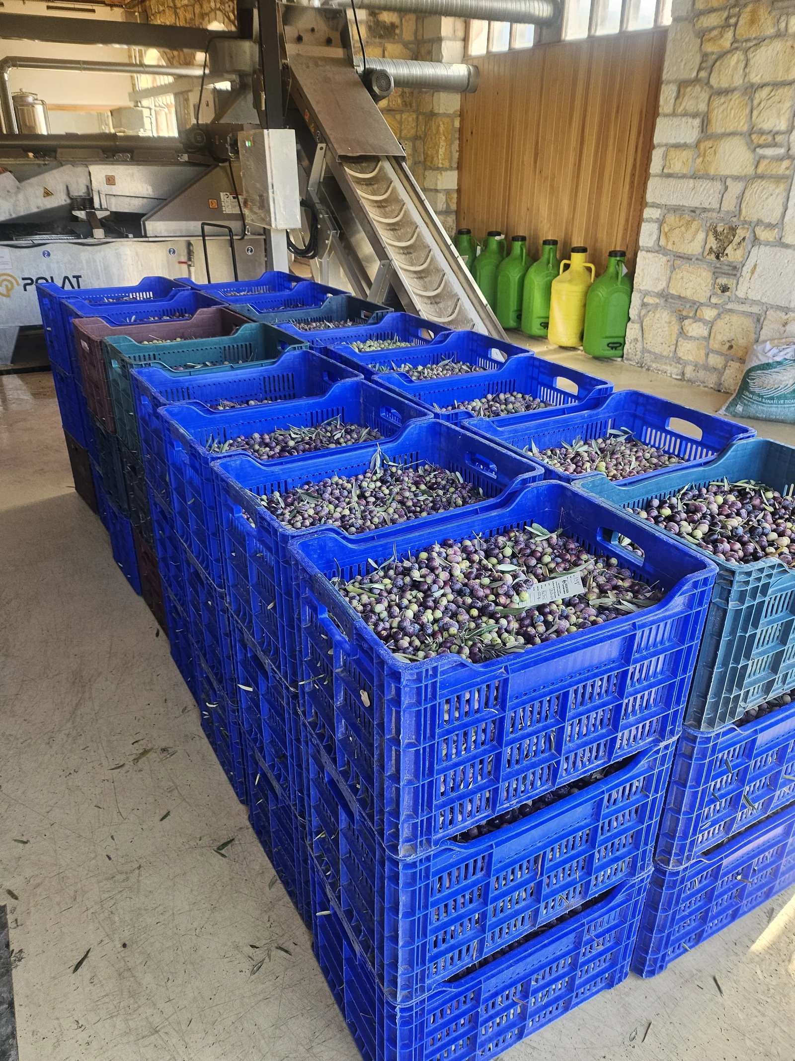 Fichi Foods Polat sıkım tesisi